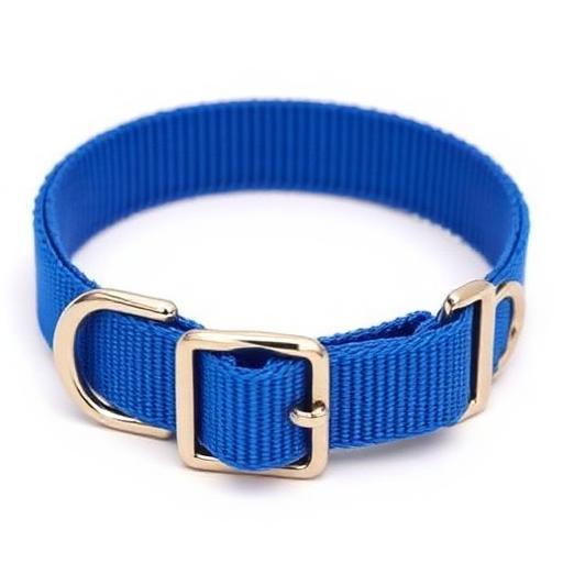 Coastal Pet Nylon Adjustable Collar