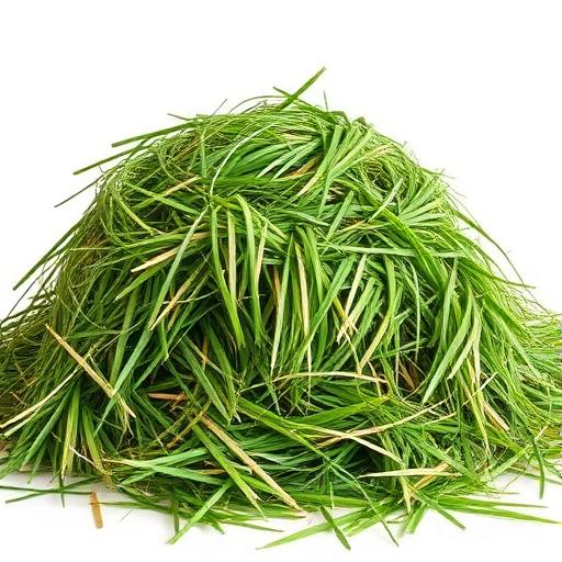 Oxbow Orchard Grass Hay